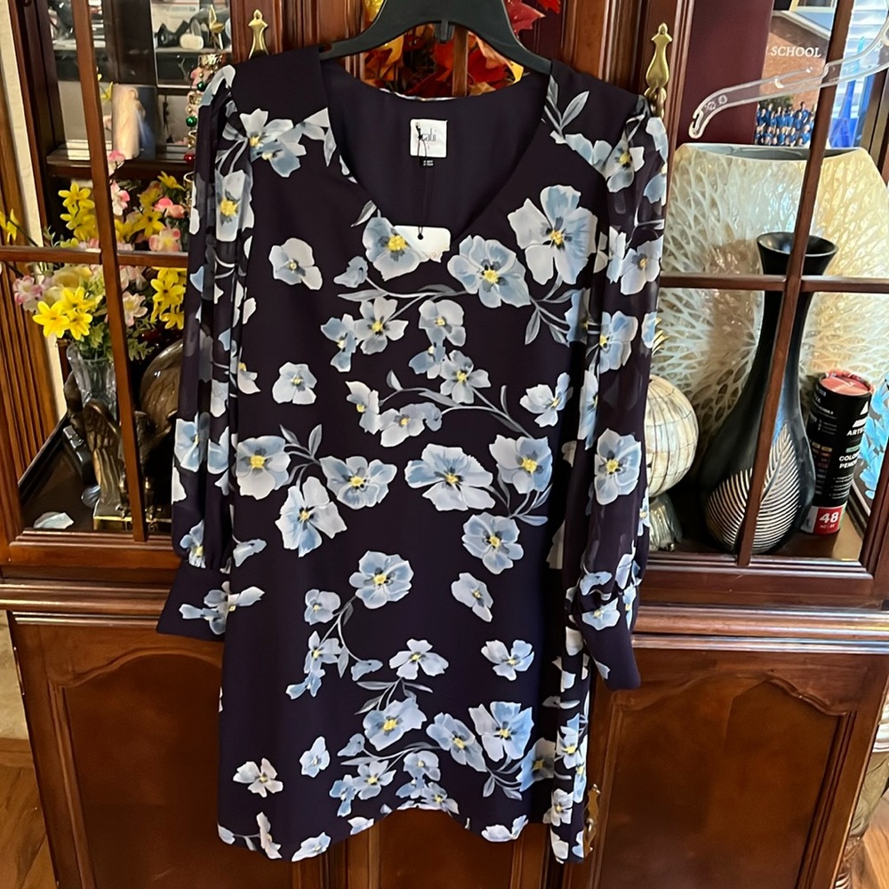 Cabi Women Dress Size S